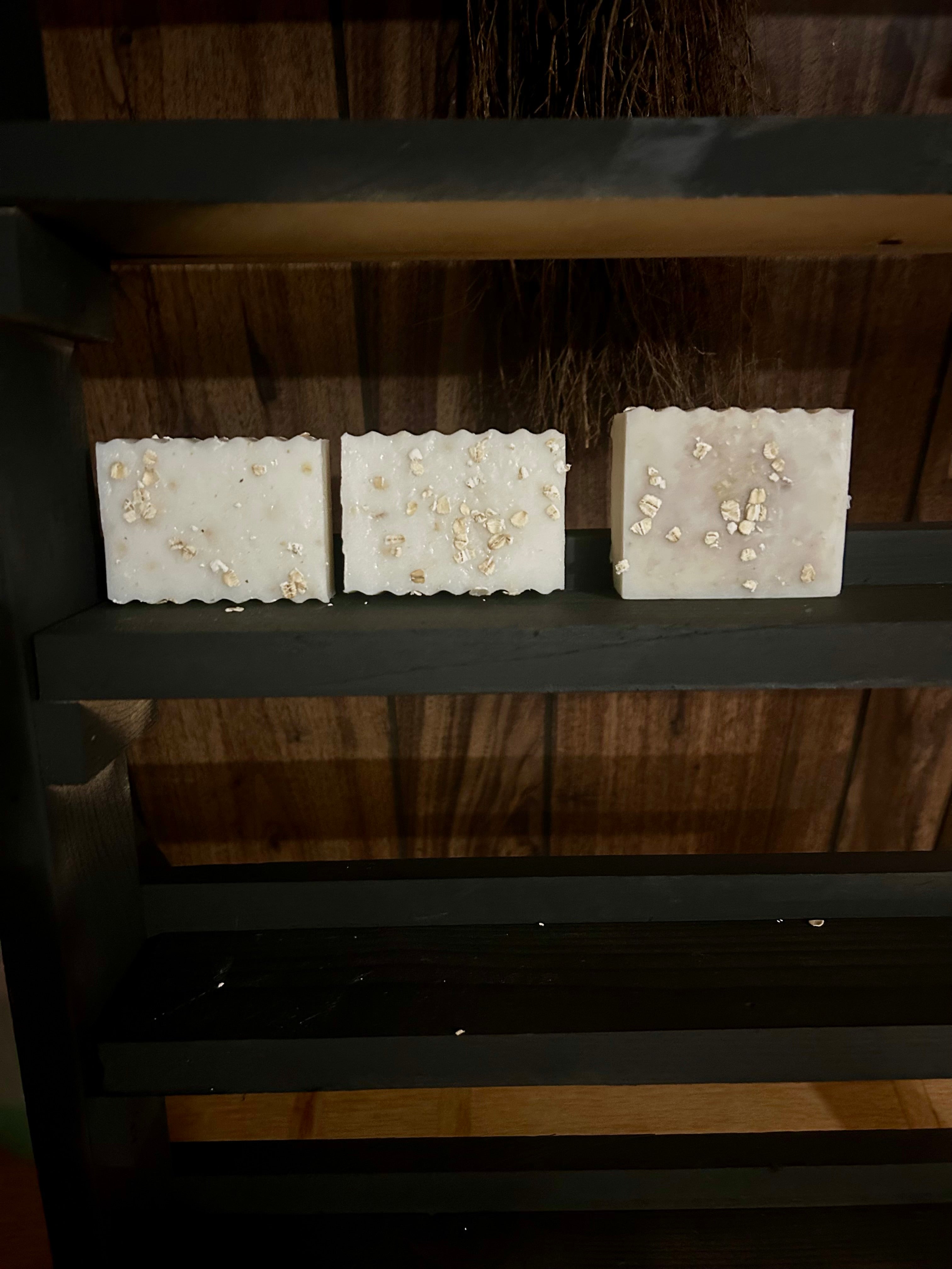 Autumn Harvest Oatmeal Bar