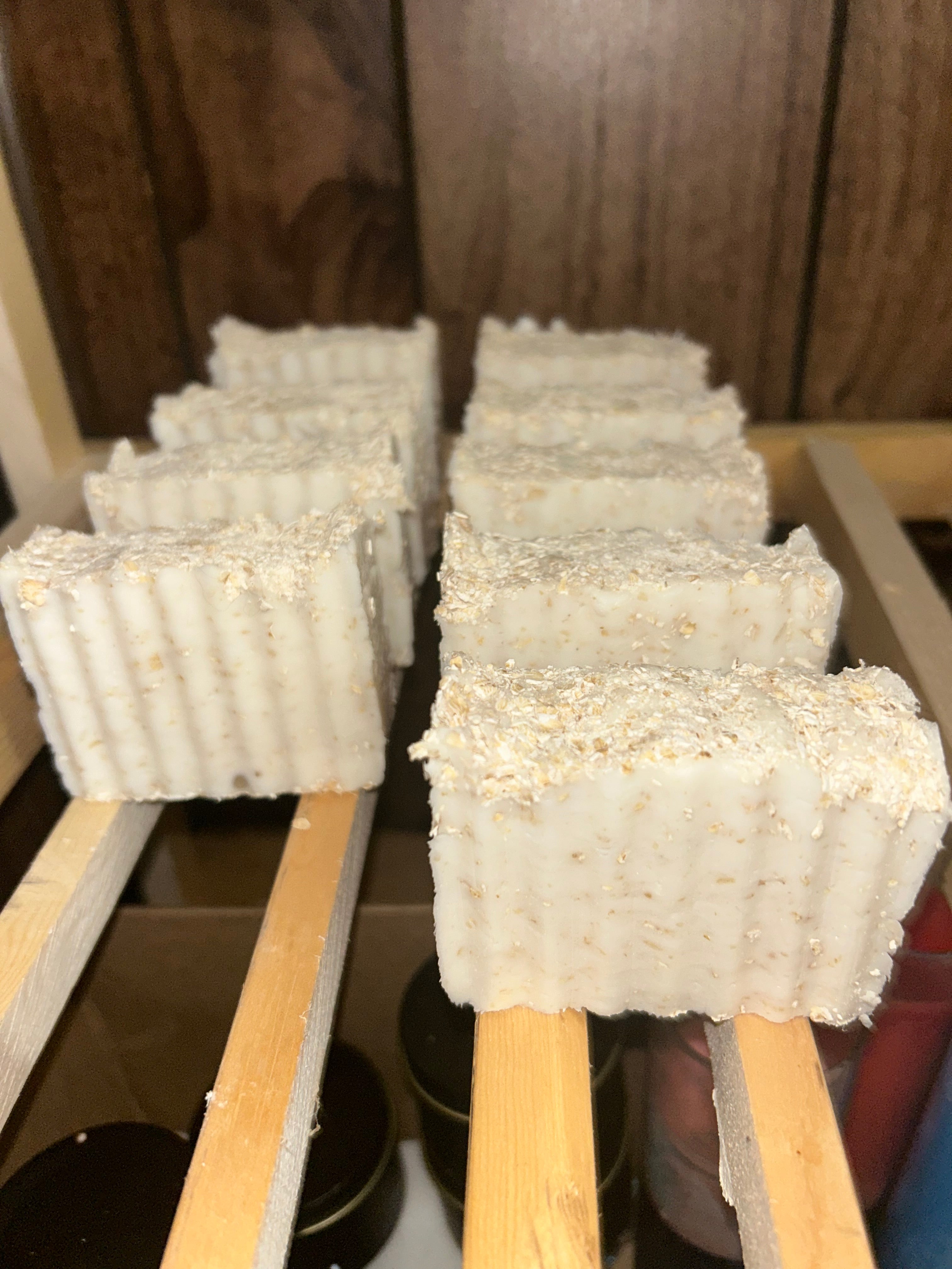 Autumn Harvest Oatmeal Bar